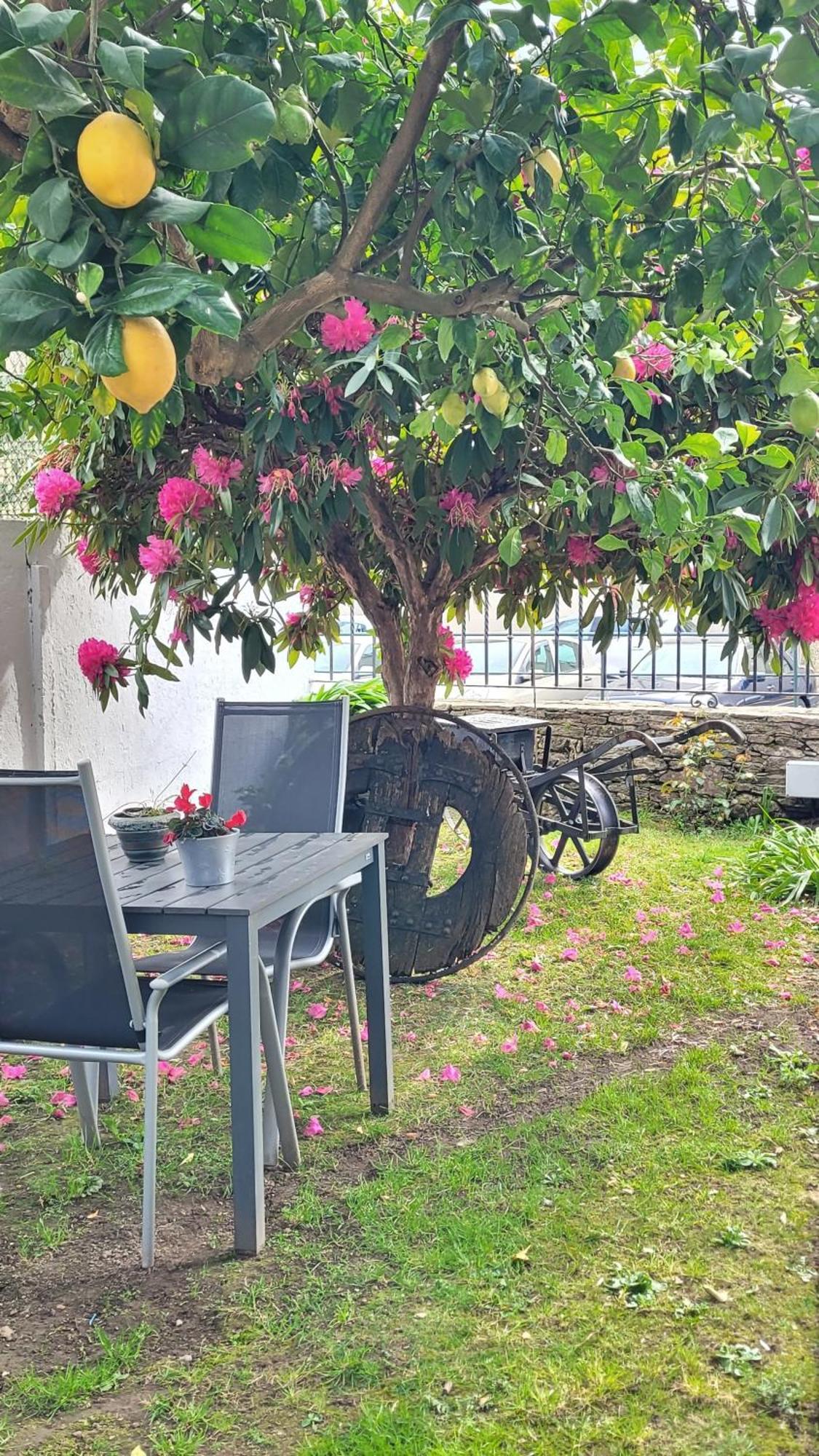 Besbello Suites San Giacomo di Compostella Esterno foto