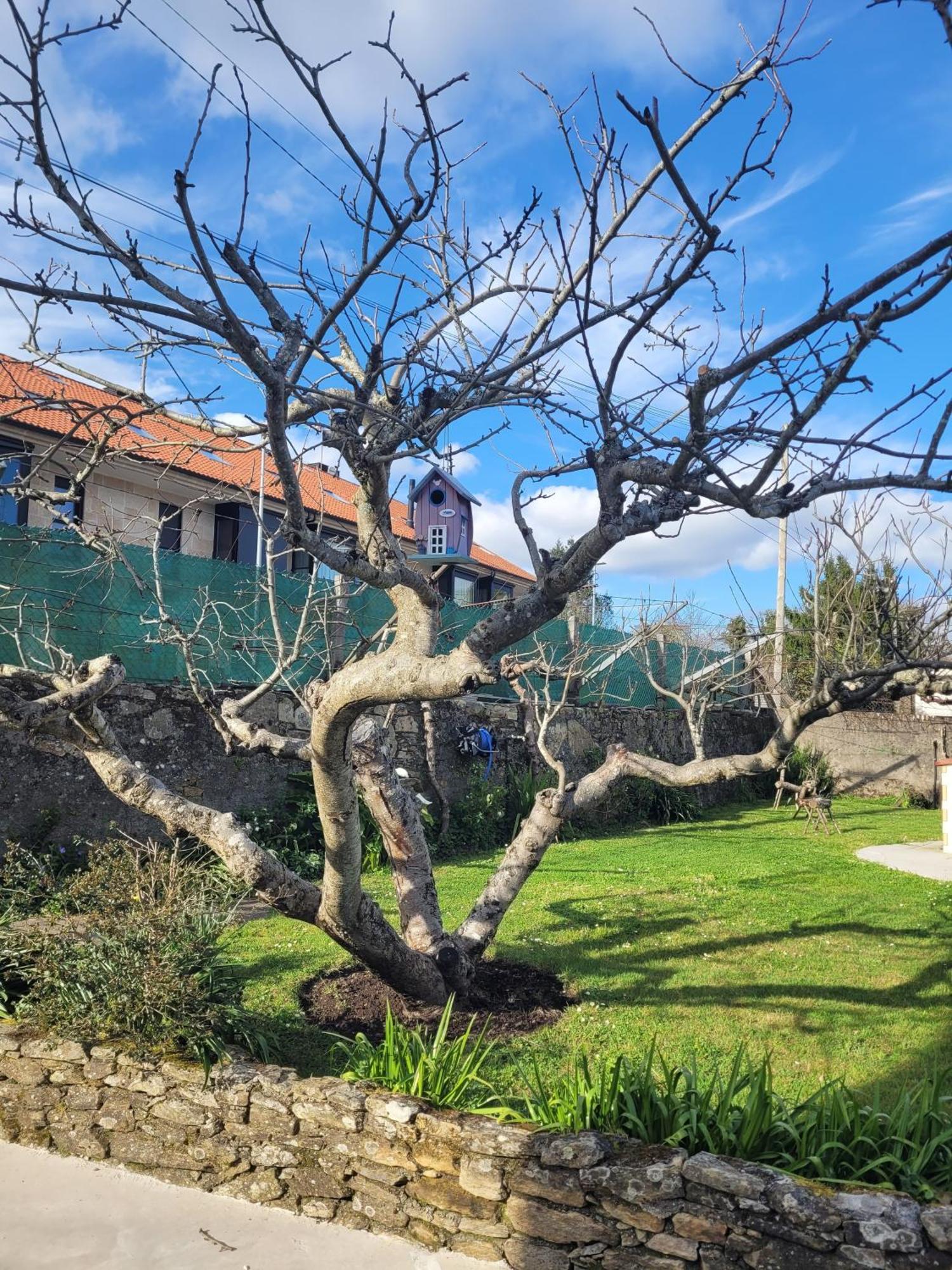 Besbello Suites San Giacomo di Compostella Esterno foto